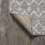 JONATHAN Y Boho Vintage Diamond Gray/Ivory Square Area Rug 9X9 ft, Moroccan Hype - Image 5