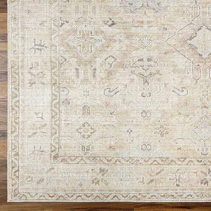 Hauteloom Nakia Bohemian Vintage Medallion Area Rug - Image 7
