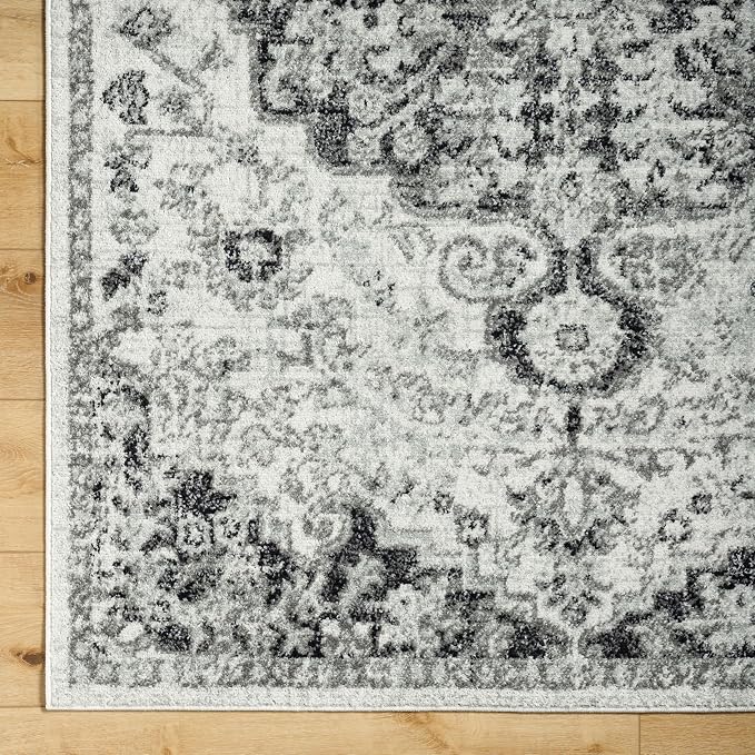 Livabliss Odelia Vintage Bohemian Area Rug - Image 7