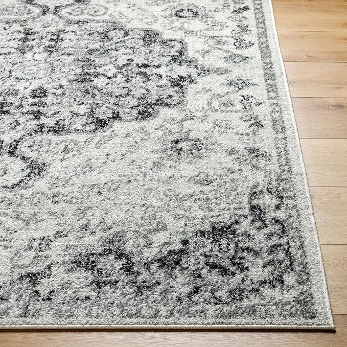 Livabliss Odelia Vintage Bohemian Area Rug - Image 5