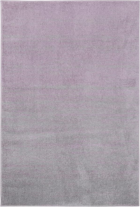 SAFAVIEH Adirondack Collection Accent Rug by SAFAVIEH