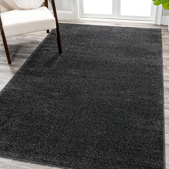 Eyely UES100I-3 Supersoft Haze Solid Low-Pile Indoor Area Rug by eyely