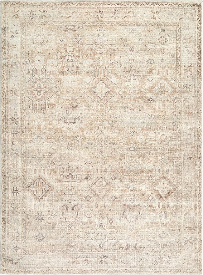 Hauteloom Nakia Living Room, Bedroom Area Rug - Image 4
