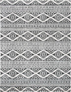 SAFAVIEH Area Rug 10x13 - Image 2